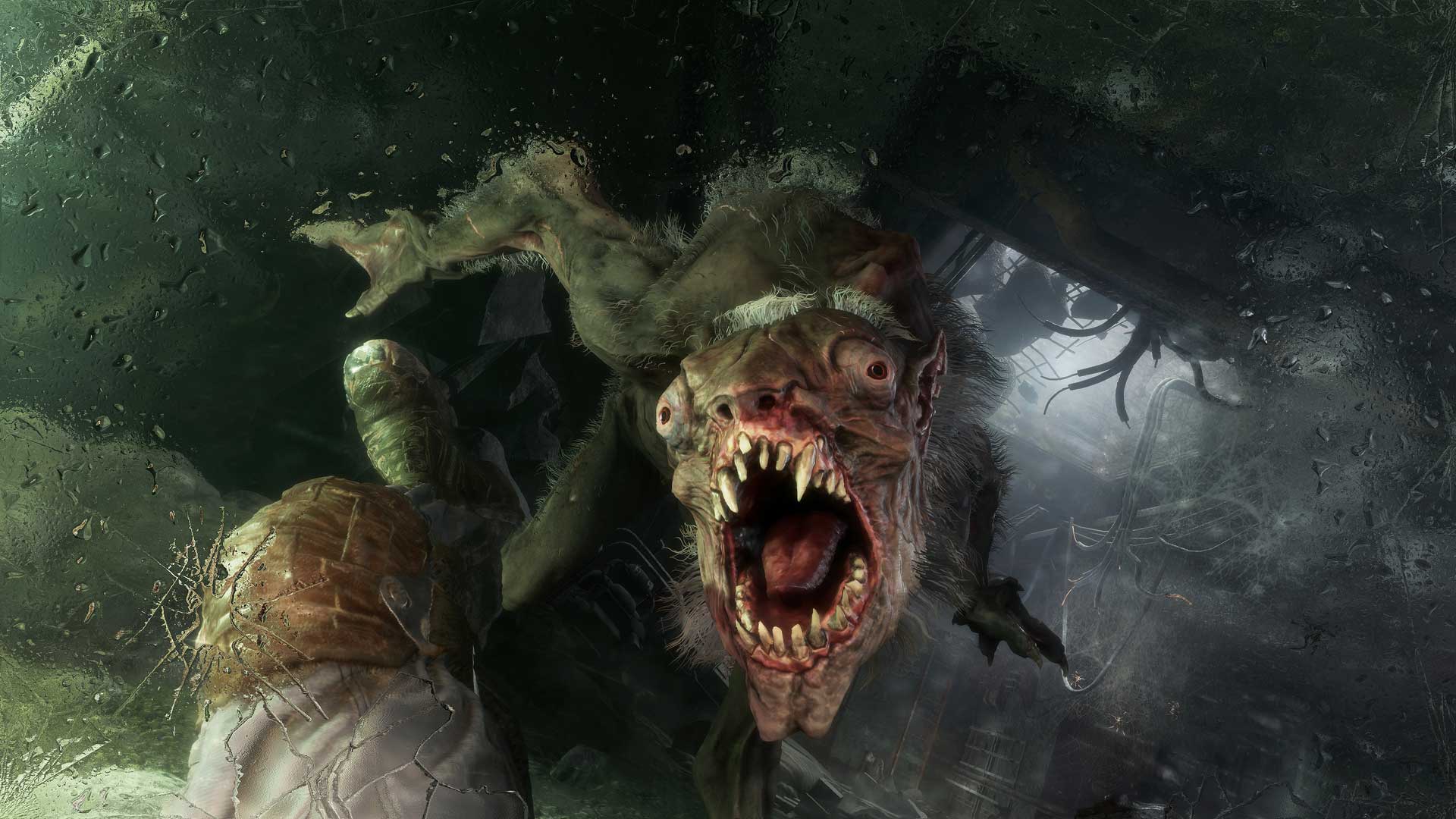 Metro: Exodus Monster